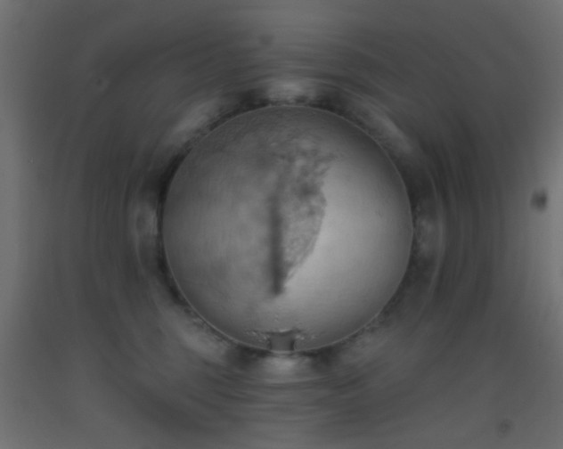 X0000093520375200710121549