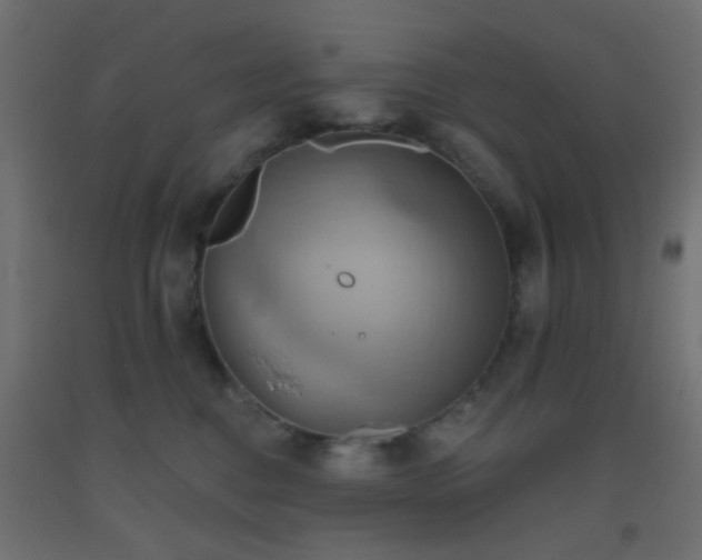 X0000093520376200710121549