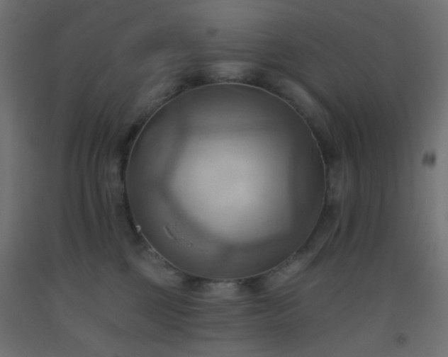 X0000093520377200710121549