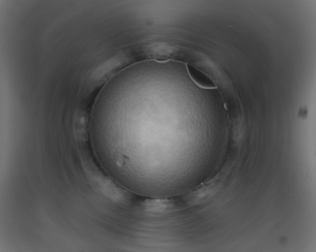 X0000093520378200710121549