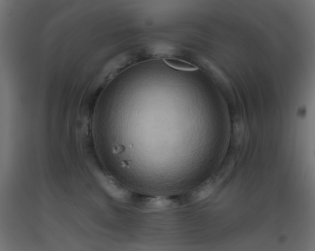 X0000093520379200710121549