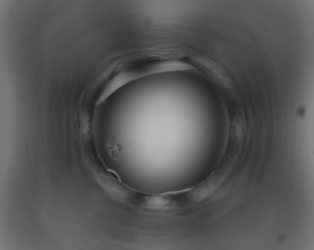 X0000093520380200710121549