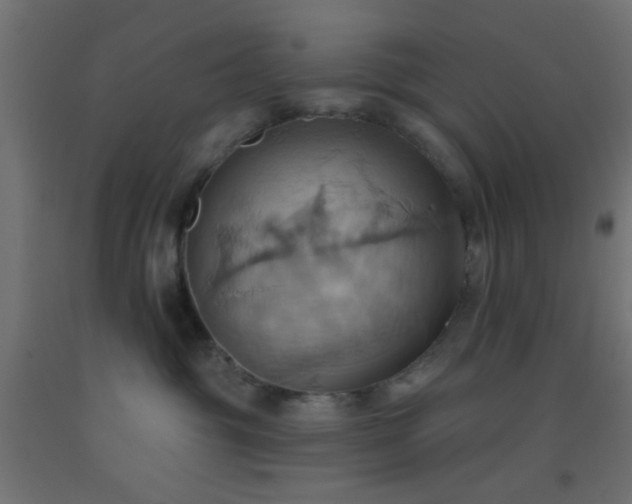 X0000093520381200710121549
