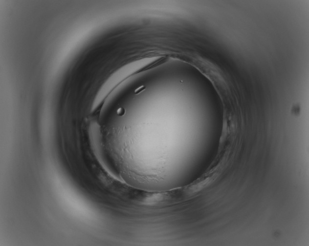 X0000093520382200710121549