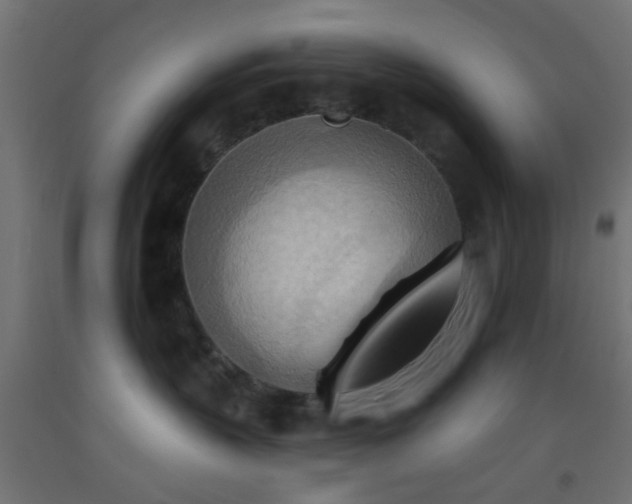 X0000093520383200710121549
