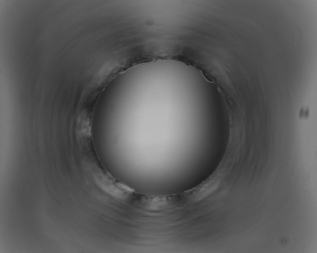 X0000093520384200710121549