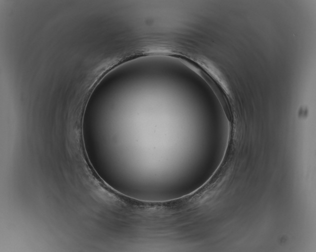 X0000093520385200710121549