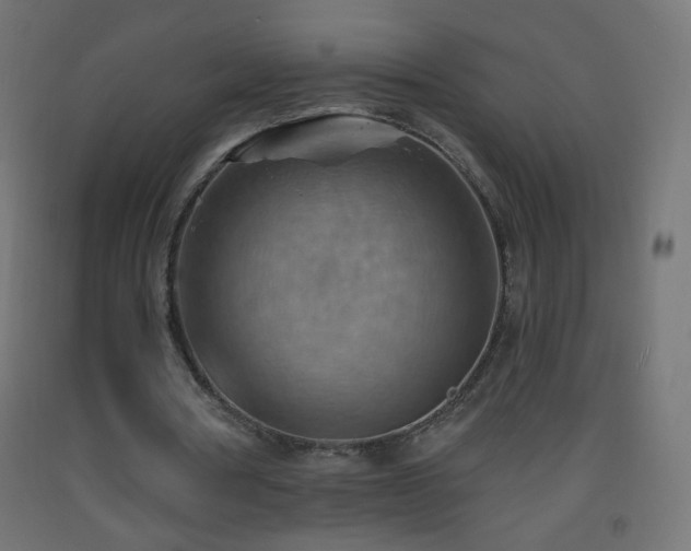 X0000093520386200710121549