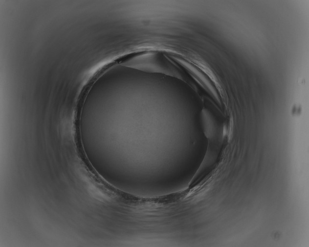 X0000093520387200710121549