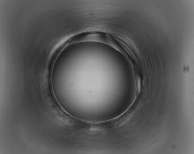 X0000093520388200710121549