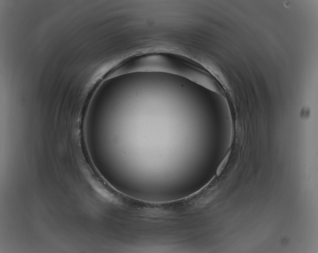 X0000093520389200710121549
