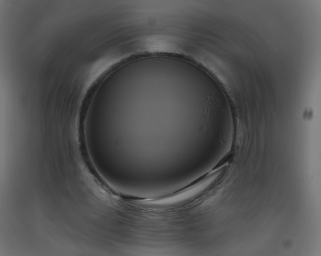 X0000093520391200710121549