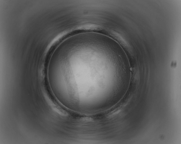 X0000093520392200710121549