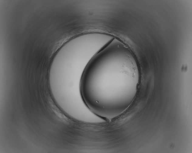 X0000093520393200710121549