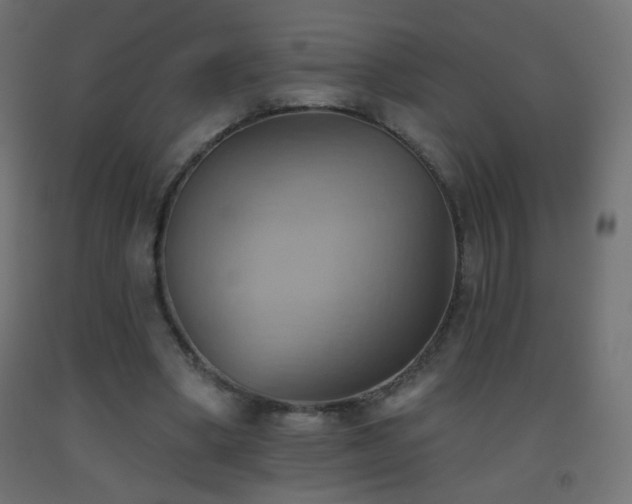 X0000093520394200710121549