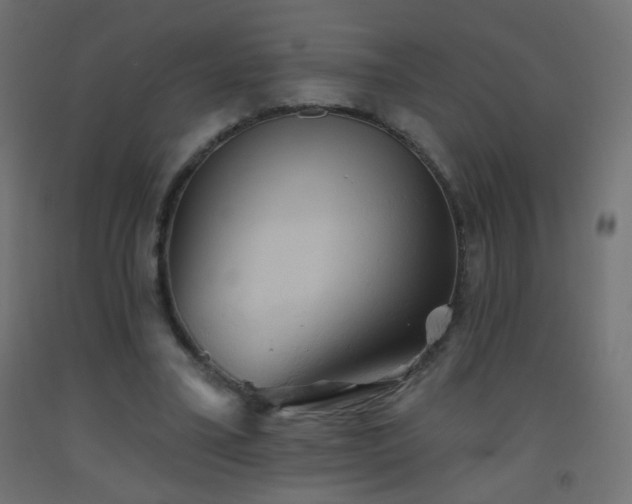 X0000093520395200710121549