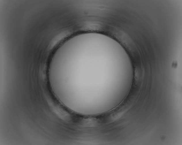 X0000093520396200710121549