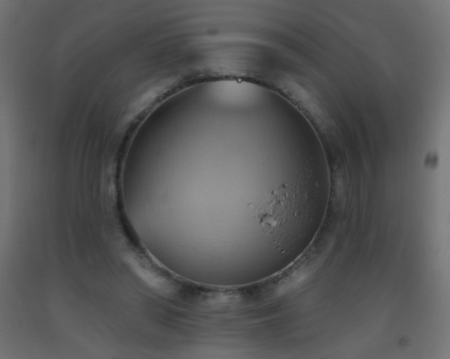 X0000093520398200710121549