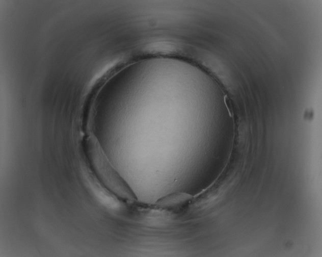 X0000093520399200710121549