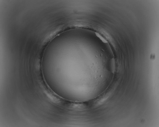 X0000093520401200710121549