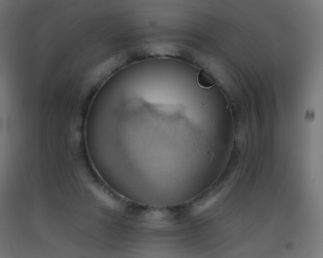 X0000093520402200710121549