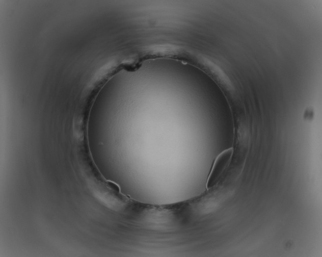 X0000093520403200710121549