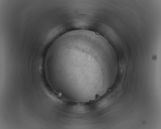 X0000093520404200710121549