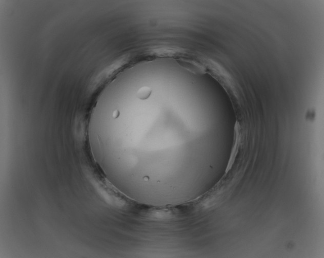 X0000093520405200710121549
