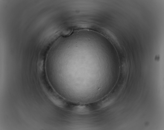X0000093520406200710121549