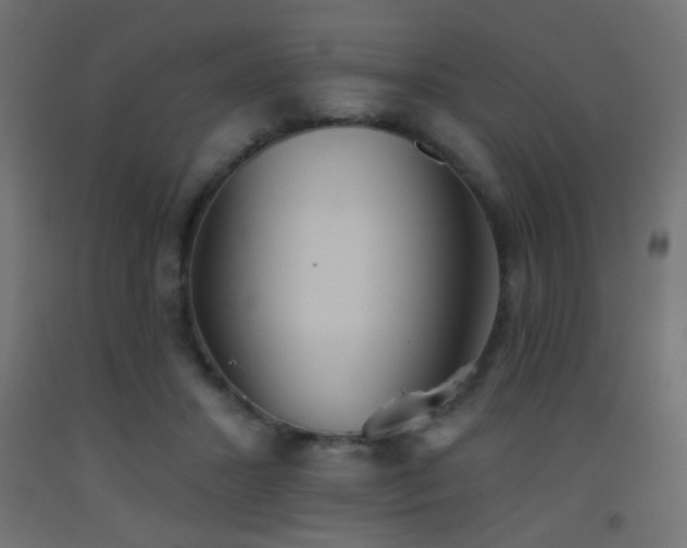 X0000093520407200710121549
