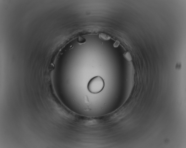 X0000093520411200710121549