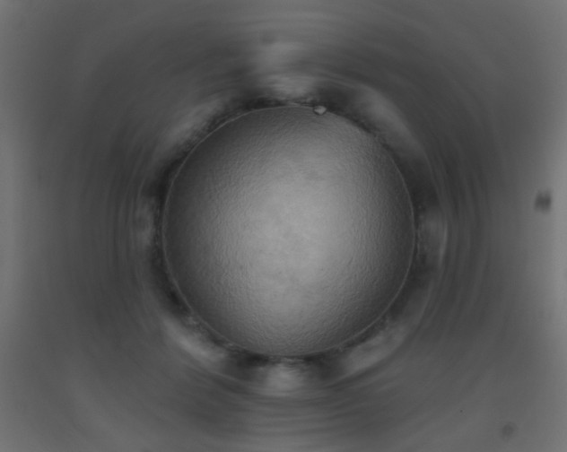 X0000093520412200710121549