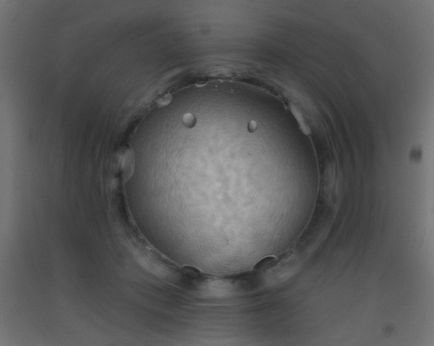 X0000093520413200710121548