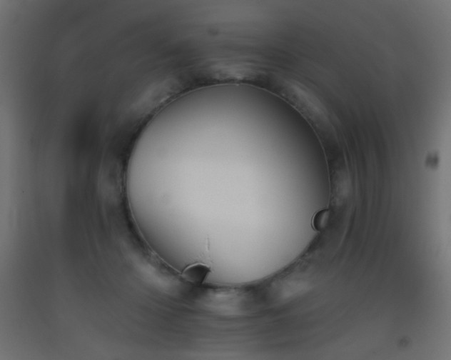 X0000093520414200710121548