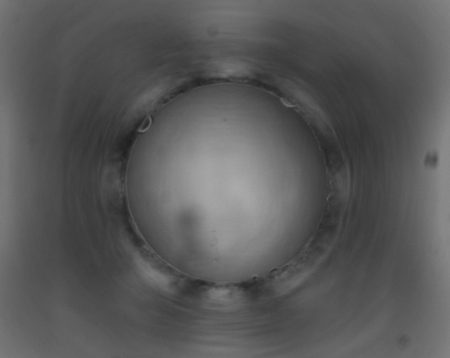 X0000093520415200710121548