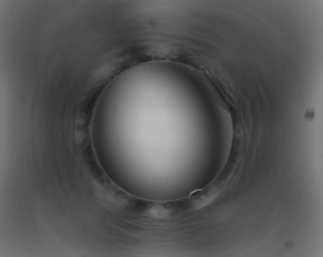X0000093520416200710121548
