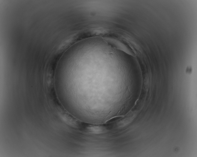 X0000093520417200710121548
