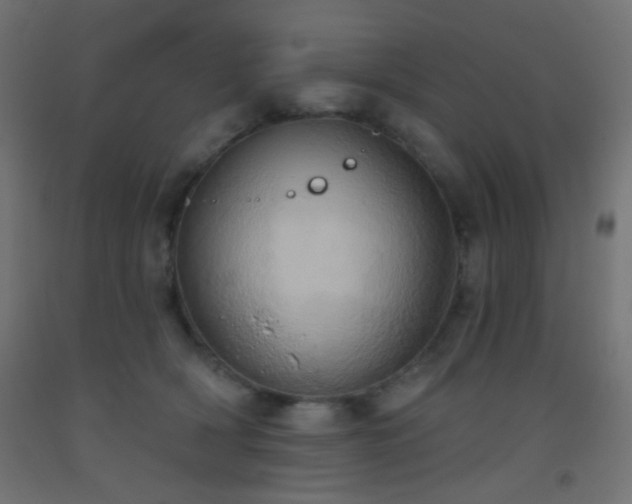 X0000093520418200710121548