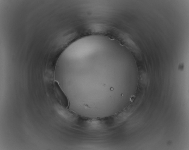 X0000093520419200710121548