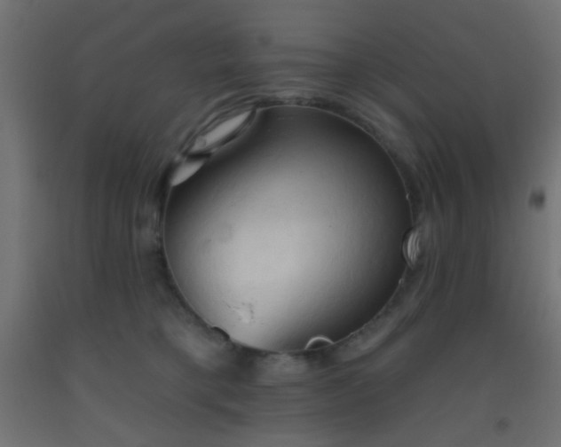 X0000093520421200710121548