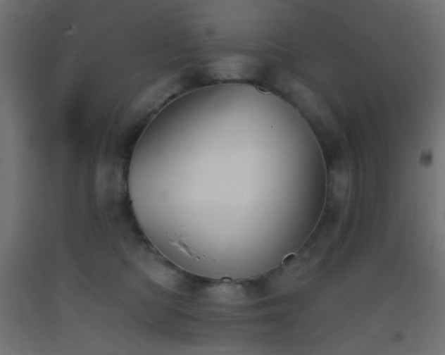X0000093520422200710121548