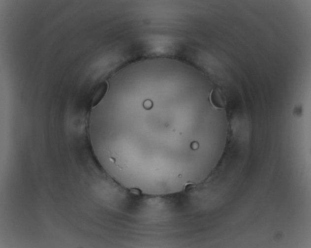 X0000093520423200710121548