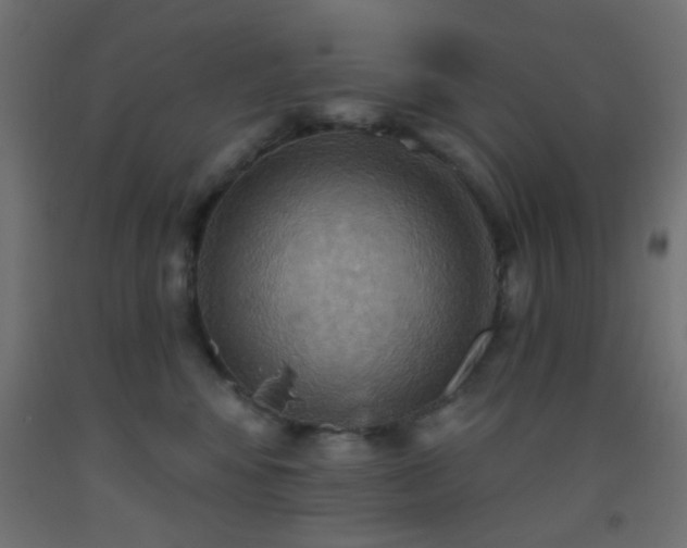 X0000093520424200710121548