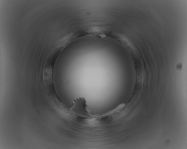 X0000093520425200710121548