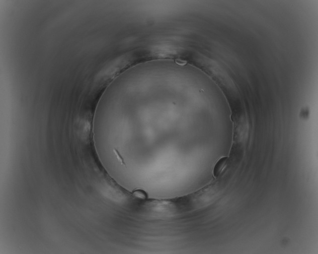 X0000093520427200710121548