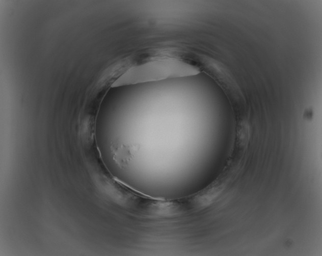 X0000093520428200710121548