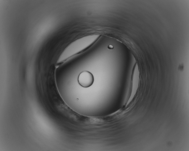 X0000093520429200710121548