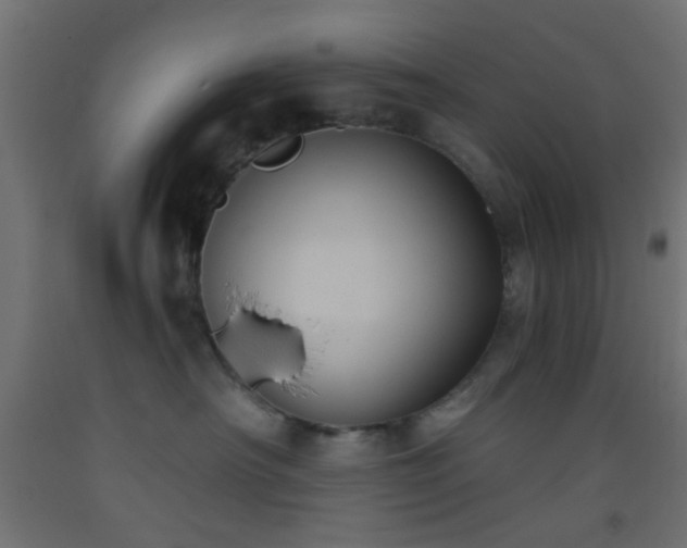 X0000093520430200710121548