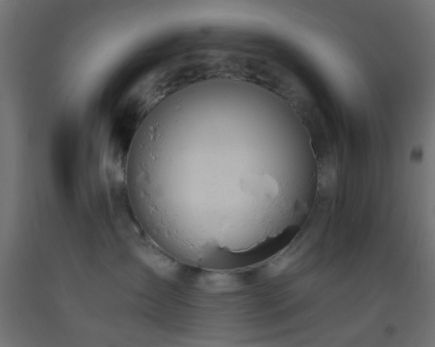 X0000093520431200710121548