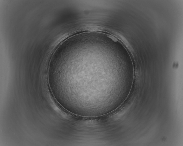 X0000093520433200710121548